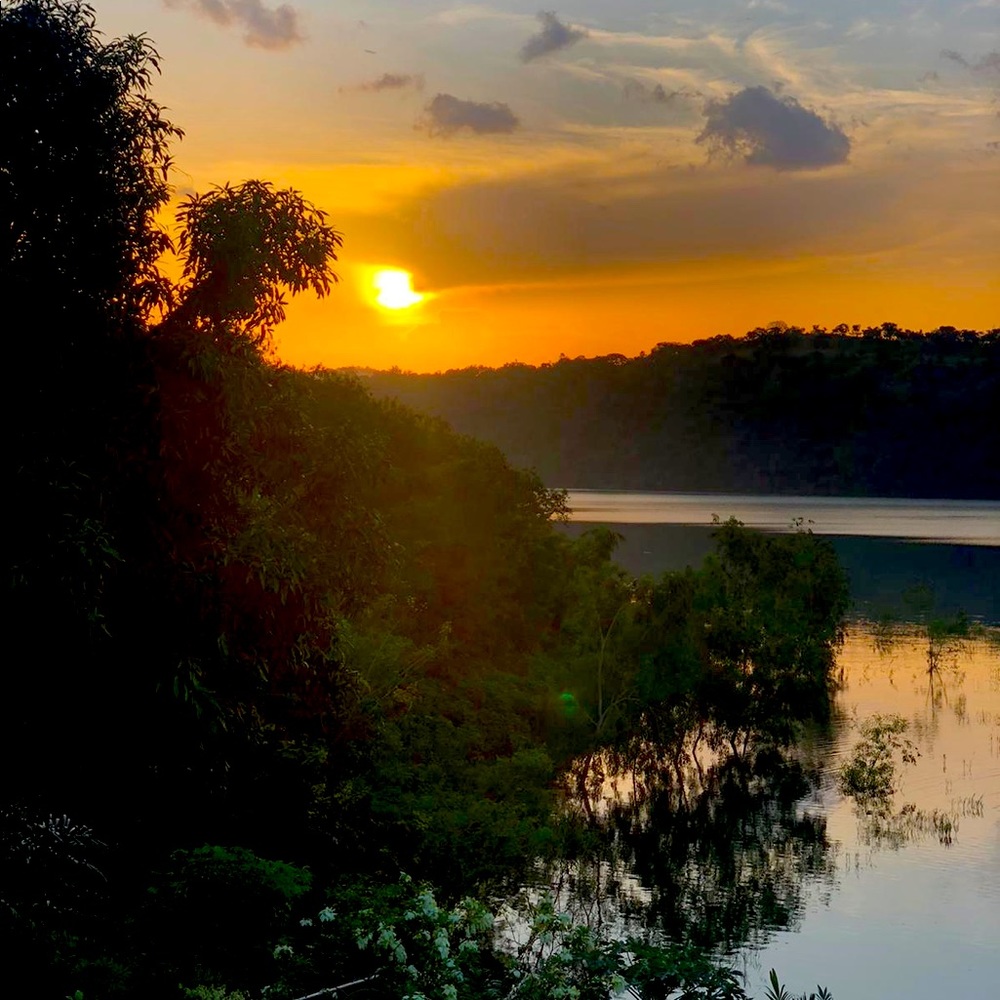 Meet your Posher, Audrey